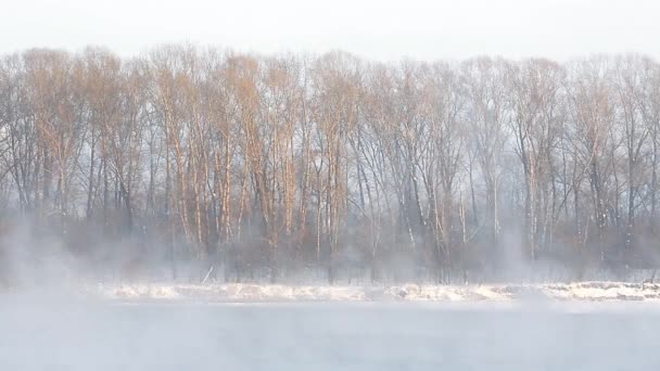 Eisformationen auf dem Fluss. Der Nebel steigt auf — Stockvideo