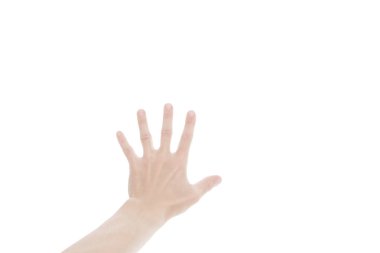 Beyaz arkaplanda insan el işareti izole edildi