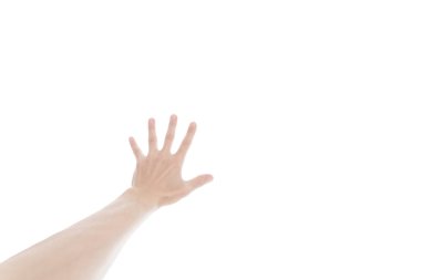 Beyaz arkaplanda insan el işareti izole edildi