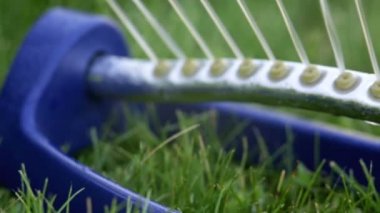 Çimen fıskiyesi yeşil çimlerin üzerinde kısırlaştırılmış su.