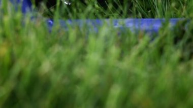 Çimen fıskiyesi yeşil çimlerin üzerinde kısırlaştırılmış su.