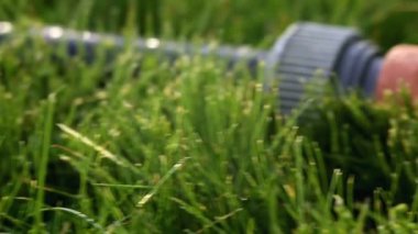 Bahçede çim üzerinde çim sulama sistemi. Serpin spreyler su arka plan ağaç bahçe yeşil çimenlerin üzerinde ne zaman güneş parlıyor