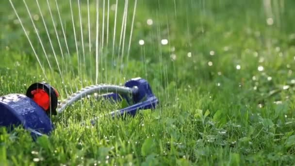 Sistema de rociadores de césped en el jardín en la hierba. Espolvorea agua sobre la hierba verde del jardín sobre un fondo de árboles cuando brilla el sol — Vídeos de Stock