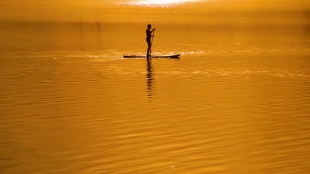 Sup surf en el fondo del cielo puesta de sol. Rayos del sol — Vídeo de stock