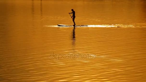 SUP surf na pozadí západu slunce na obloze. Paprsky slunce — Stock video