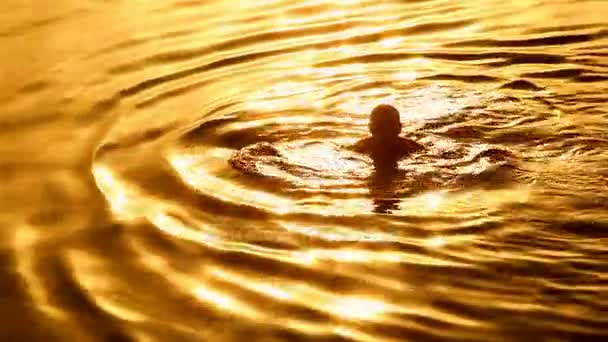 Mann schwimmt bei Sonnenuntergang im Hintergrund — Stockvideo