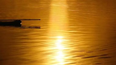 Sörf yoga adam egzersiz