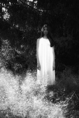 Hayalet kırsal yol üzerindeki beyaz hayalet levha ile kaplı. Grenli dokulu görüntü