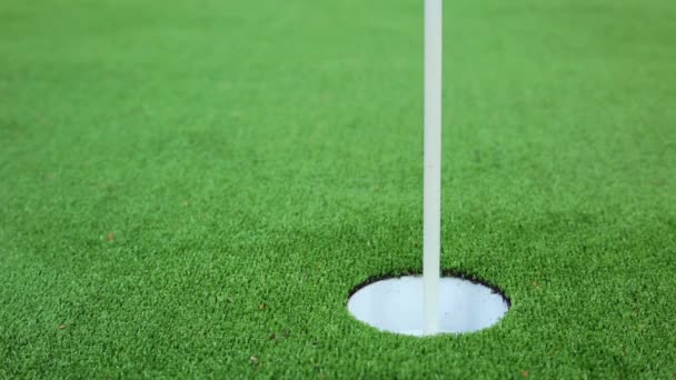 Golfista en el verde pierde un putt cerca — Vídeo de stock