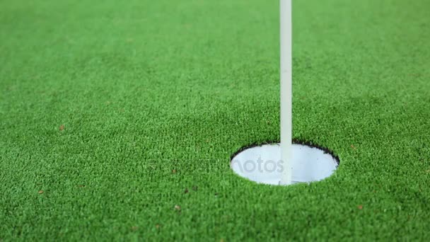 Golfista en el verde pierde un putt cerca — Vídeos de Stock