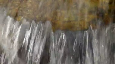 Ormandaki dağ nehri şelalesi
