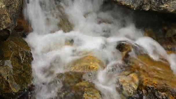 Bergen rivier waterval in het bos — Stockvideo