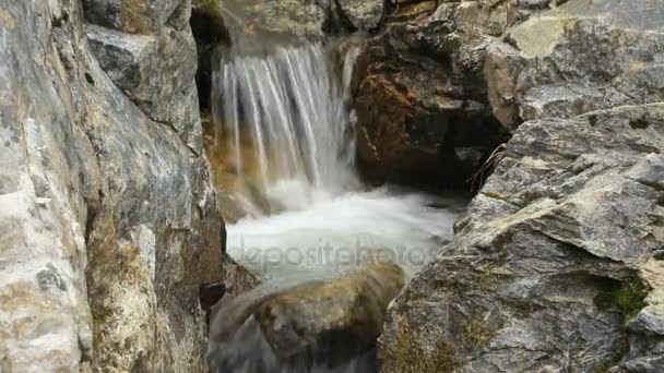 Chute d'eau de montagne dans la forêt 