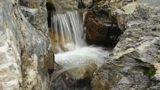 Cachoeira de rio de montanha na floresta — Vídeo de Stock