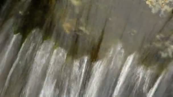 Close up de cachoeira pequena e plantas verdes na natureza — Vídeo de Stock