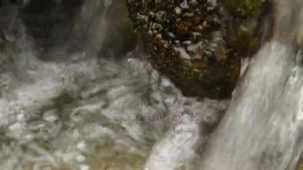 숲 속의 산악 강 폭포. 오디오 트랙 이 있는 미디어 — 비디오