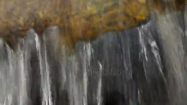 Agua goteando de la roca. Con sonido — Vídeos de Stock