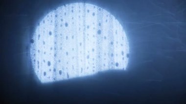 Çarpık el cam, psikopat üstünde belgili tanımlık bağsız tırmalamak kötü erkek silueti. Korkunç hayalet yaratık cam arkasında