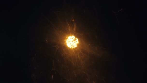 Sfondo astratto movimento, luci brillanti, onde di energia e scintillanti particelle stile fuochi d'artificio — Video Stock