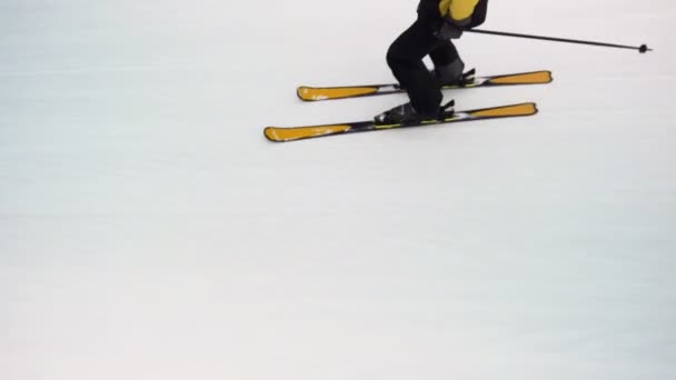 晴れた冬の日にプロのスキーヤースキー — ストック動画