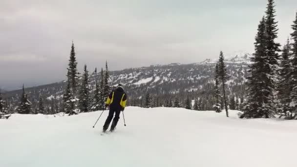 Aktif kayakçı çam ormanlarında inanılmaz bir kayak yamacında geriye doğru hareket ediyor. Dağlık bölgede güneşli bir günde manzaranın tadını çıkarıyorum. — Stok video