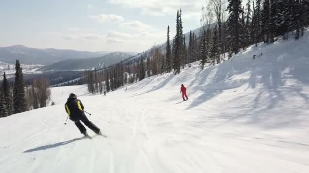 Jonge volwassen recreatieve skiër geniet van idyllisch perfect weer in de koude winter. Skiën alleen op perfect geprepareerde skipiste bij skigebied — Stockvideo