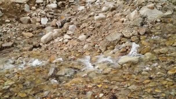 Route de montagne floue par un ruisseau d'eau — Video