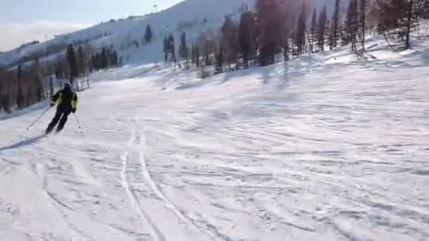 Молодой взрослый лыжник наслаждается идиллической идеальной погодой в холодную зиму. Катание на лыжах в одиночку по идеально ухоженному лыжному трассе на горнолыжном курорте — стоковое видео