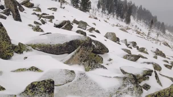 Besneeuwde bergen met naaldbomen bedekt met sneeuw tegen de bewolkte lucht. In de winter is het bewolkt weer in het skigebied — Stockvideo