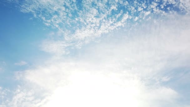 Cometa arco iris volando en el cielo azul — Vídeo de stock