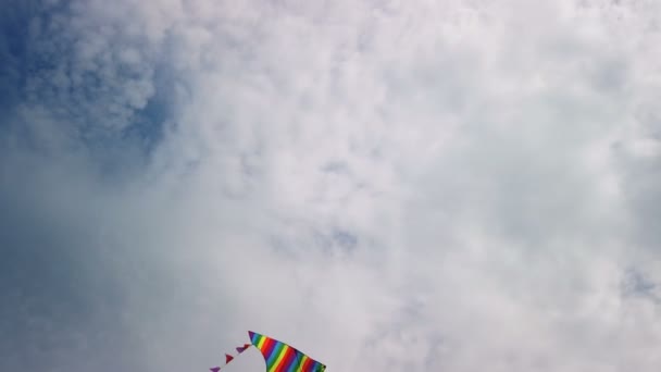 Aquilone arcobaleno che vola nel cielo blu — Video Stock