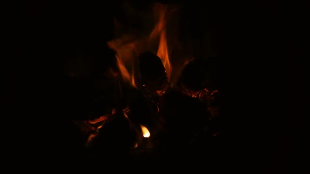 Le feu brûle dans la cheminée. Cheminée pleine de bois de chauffage — Video