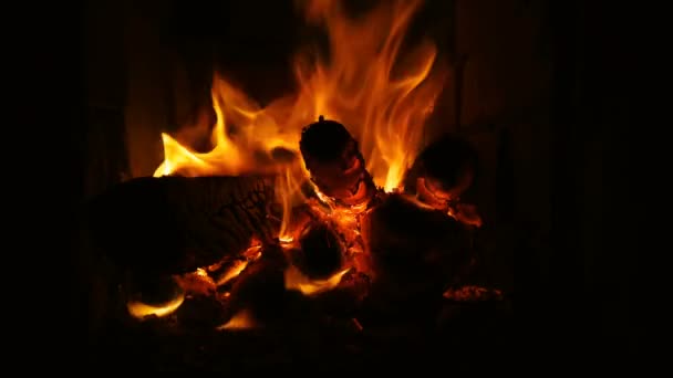 Fuego ardiendo en la chimenea. Chimenea llena de leña — Vídeo de stock