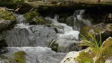 Ormandaki dağ nehri şelalesi