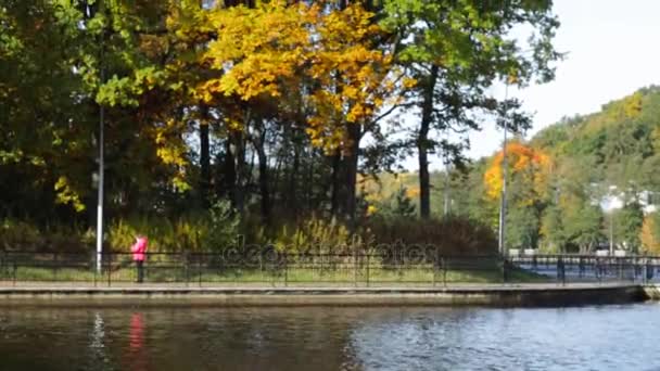 Kentin Sonbahar Park Göle — Stok video