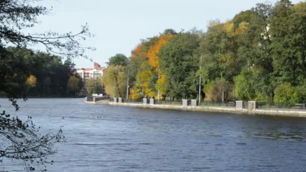 Lago Nel Parco Autunnale Della Città — Video Stock