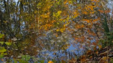 Renkli sonbahar ağaçlar gölde bir yansımasıdır