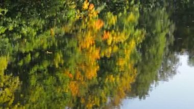 Göl sonbahar ağaçların yansıması