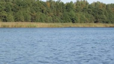 Ormanda, güzel Mavi Göl sonbahar. Açık, güneşli bir gün.