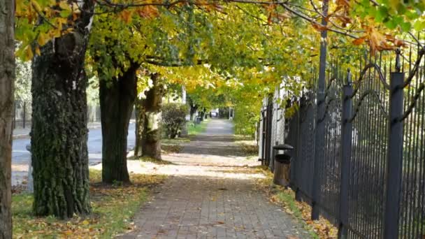Rue d'automne dans la ville parmi les arbres 