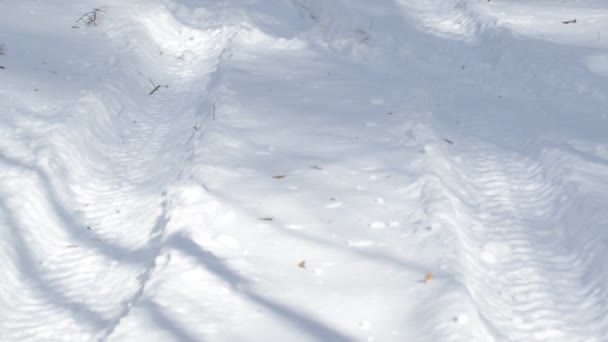 Pegadas Uma Moto Neve Floresta Russa Inverno — Vídeo de Stock