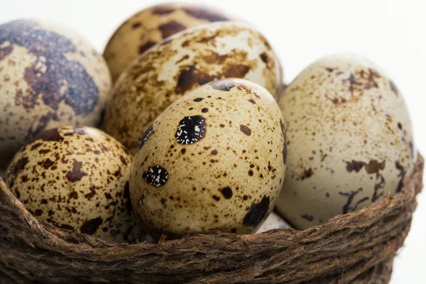 yumurta ile iç içe geçirme