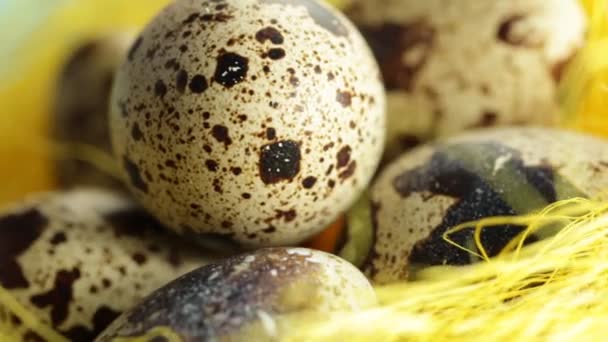 在一个黄色的巢鹌鹑蛋旋转在一个村庄的谷仓圈 — 图库视频影像