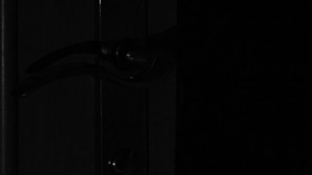 Horror Puerta Oscuridad Está Iluminada Por Una Linterna — Vídeo de stock