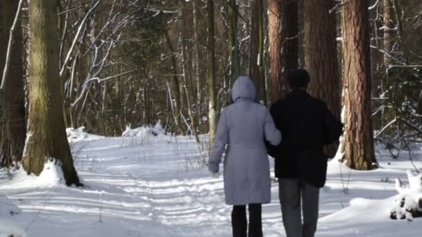 カリーニング ラード ロシア連邦 2018 ロシアで冬の森を歩く老夫婦 — ストック動画