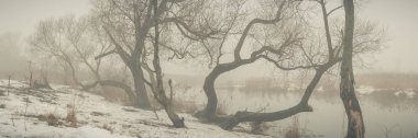 Kış nehri. Çıplak kıyı ağaçlarıyla sisli panoramik bir manzara ve bulutlu havada hafif atmosferik sisli bir kamış.