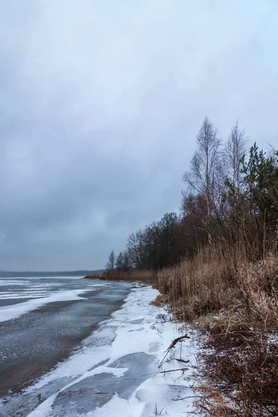 Paysage hivernal. littoral d'un lac gelé avec roseaux et lisière de glace inégale par mauvais temps par temps nuageux — Photo