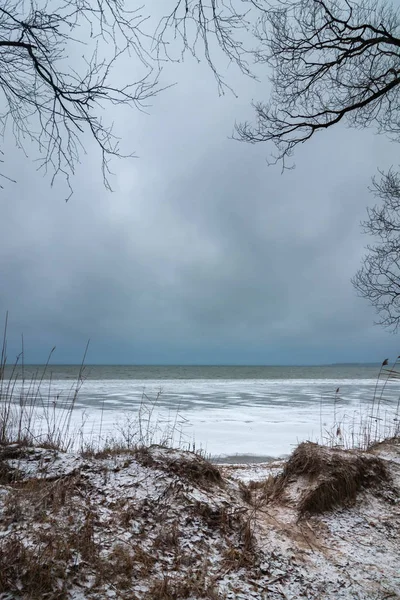 Surowy zimowy krajobraz. widok na zamarznięte jezioro od brzegu przez nadbrzeżne wyboje i gołe gałęzie drzew. naturalna rama — Zdjęcie stockowe