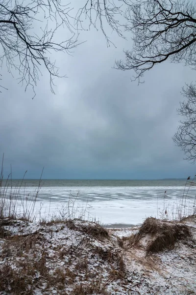 Harsh winter landscape. view of the freezing lake from the shore through the coastal bumps and bare branches of trees. natural frame — Stock Photo, Image