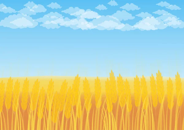 青空を背景にした小麦畑 ベクターグラフィックス
